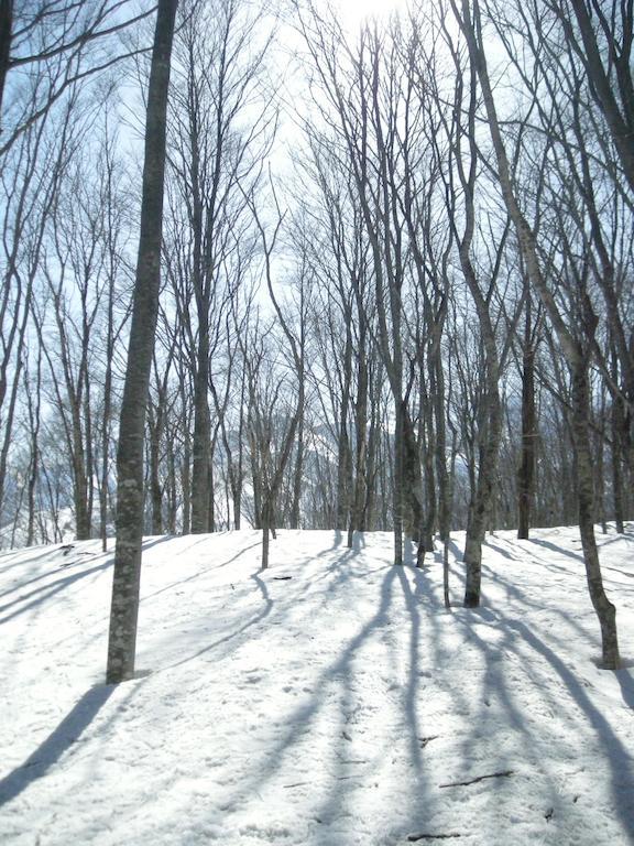 Villa Komakusa Hakuba Exteriör bild
